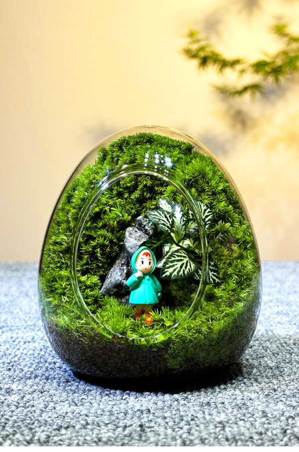 Moss Micro Landscape DIY Material Landscape Plants Fresh Ecological Bottles Ecological Jars Desktop Small Pottery Products Easy to Maintain