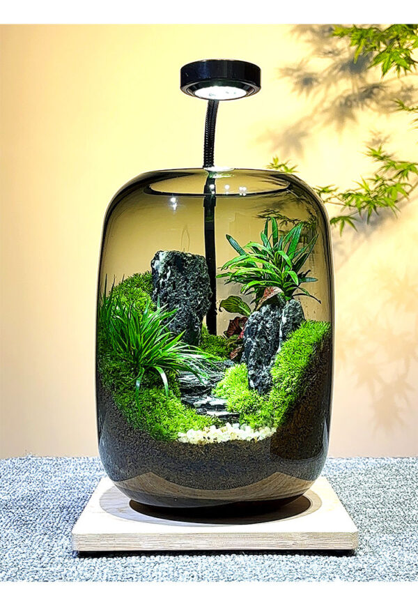 The Road to Success Ecological Bottle Moss Creative Micro Landscape Desktop Potted Plants Office Green Plants Moss Landscape Tank - Image 3
