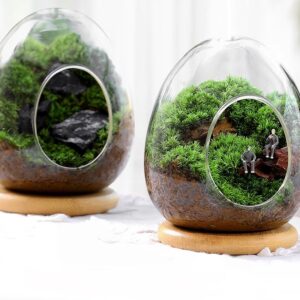 Eggshell Moss Micro Landscape Creative Finished Decoration Pottery Office Desk Good for Cultivating Green Plants Ecological Bottles Small Bonsai