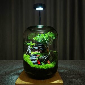 Desktop micro landscape glass ecological bottle moss finished product easy to care for creative potted indoor decoration ornaments bonsai plants