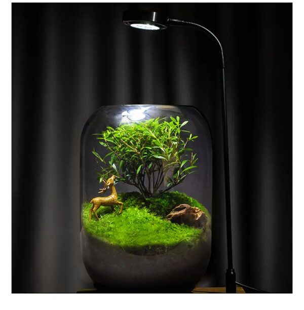 【 Tree of Life 】 Moss Micro Landscape Ecological Bottle Surface Finished Green Plant Pottery Creative Table Bonsai Good for Nourishing and Living - Image 3