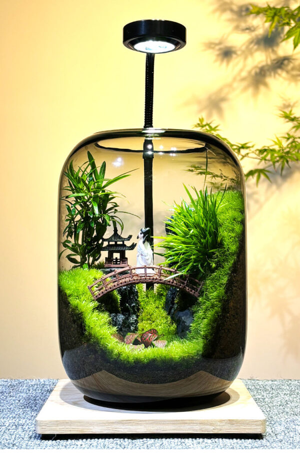 Li Bai Moss Micro Landscape Creative Real Plants Green Plants Landscape Ecological Bottle Office Desktop Gift Ecological Tank - Image 3