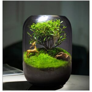 【 Tree of Life 】 Moss Micro Landscape Ecological Bottle Surface Finished Green Plant Pottery Creative Table Bonsai Good for Nourishing and Living