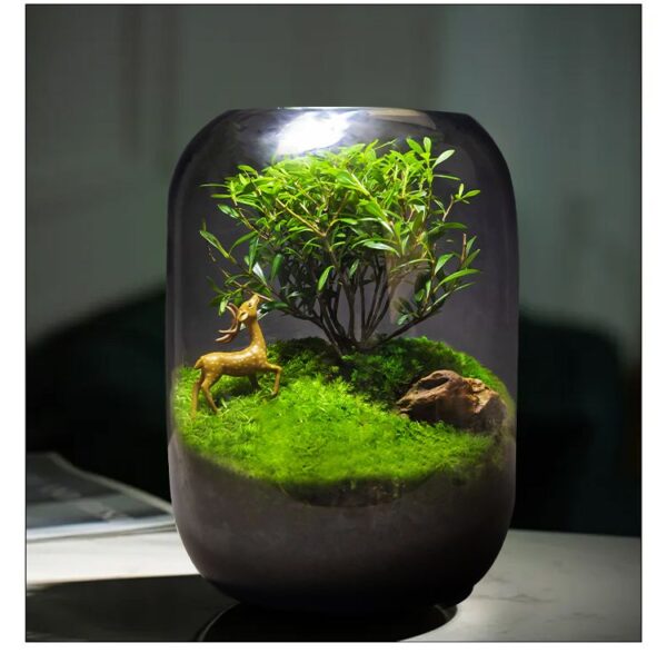 【 Tree of Life 】 Moss Micro Landscape Ecological Bottle Surface Finished Green Plant Pottery Creative Table Bonsai Good for Nourishing and Living