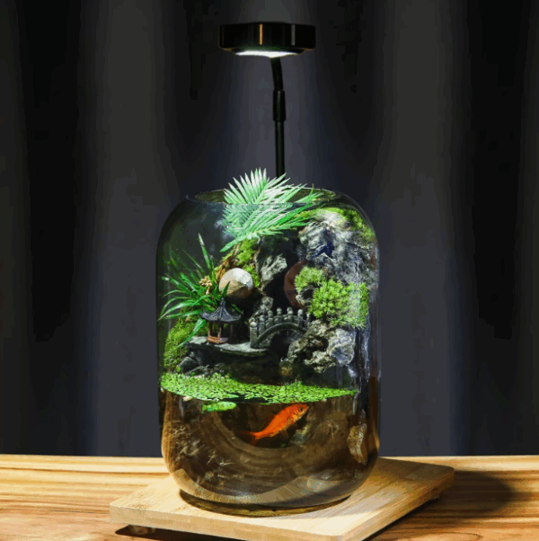 【 Time Comes to Run 】 Flowing Real Plant Fish Tank Moss Micro Landscape Ecological Bottle Finished Indoor Gift - Image 2