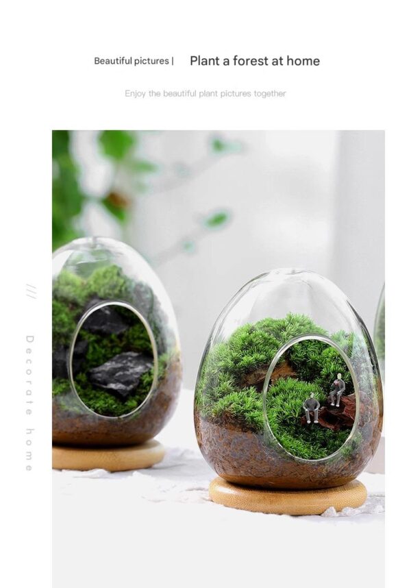 Eggshell Moss Micro Landscape Creative Finished Decoration Pottery Office Desk Good for Cultivating Green Plants Ecological Bottles Small Bonsai - Image 2