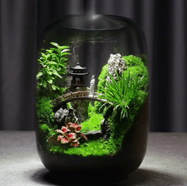【 Exhibition Hall 】 Moss Microecological Landscape