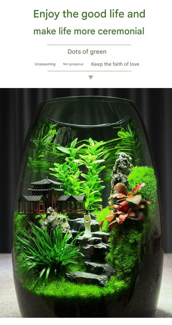 [Shanhaijian] Desktop Ecological Bottle Moss Micro Landscape New Chinese Landscape Creative Green Plant Bonsai High end Ornament - Image 4
