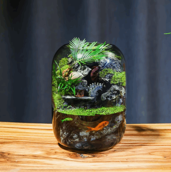 【 Time Comes to Run 】 Flowing Real Plant Fish Tank Moss Micro Landscape Ecological Bottle Finished Indoor Gift - Image 3