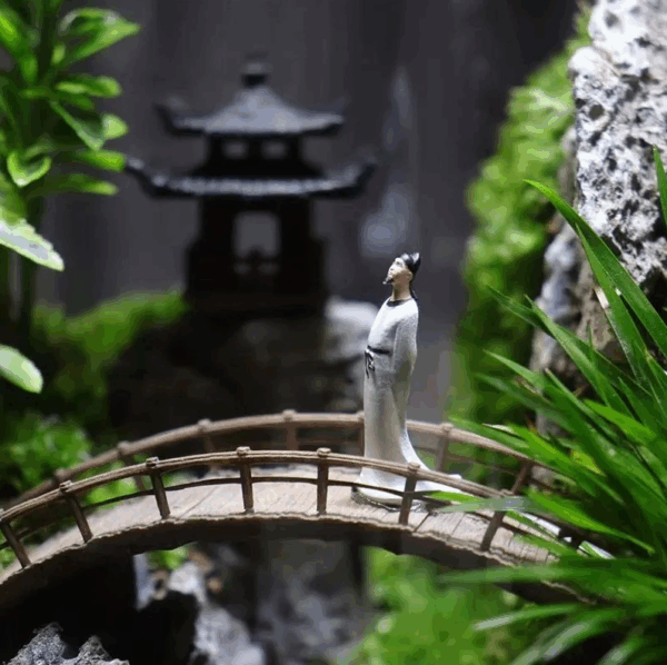 【 Exhibition Hall 】 Moss Microecological Landscape - Image 6