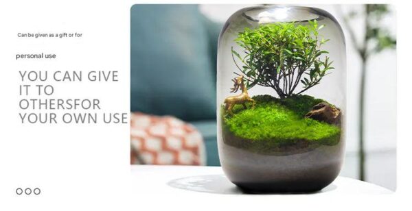 【 Tree of Life 】 Moss Micro Landscape Ecological Bottle Surface Finished Green Plant Pottery Creative Table Bonsai Good for Nourishing and Living - Image 5