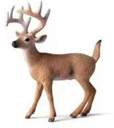 【 Plant Toys 】 Moss Micro Landscape Animal Toys